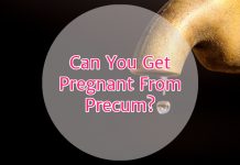 Can You Get Pregnant From Precum?