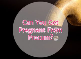 Can You Get Pregnant From Precum?