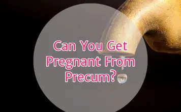 Can You Get Pregnant From Precum?