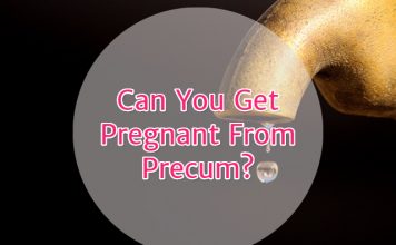 Can You Get Pregnant From Precum?