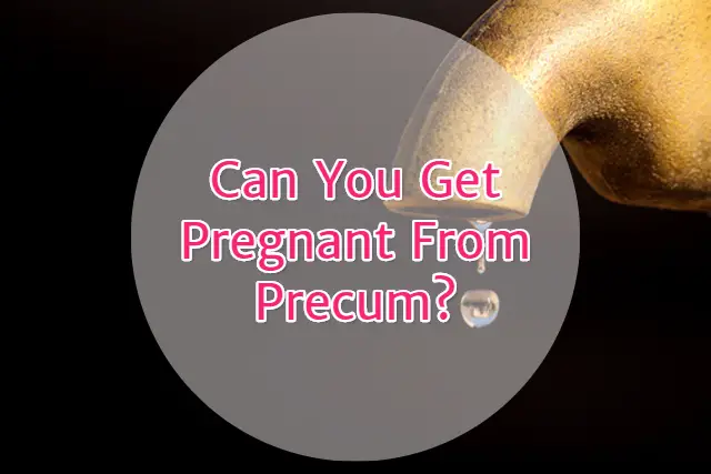 Can U Get Pregnant From Precum 93