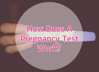 How Does A Pregnancy Test Work?