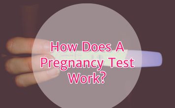 How Does A Pregnancy Test Work?