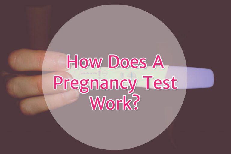 How Does A Pregnancy Test Work? Evaporation Line, hCG Test
