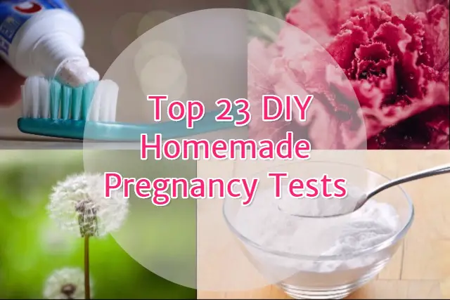 Top 23 DIY Homemade pregnancy tests