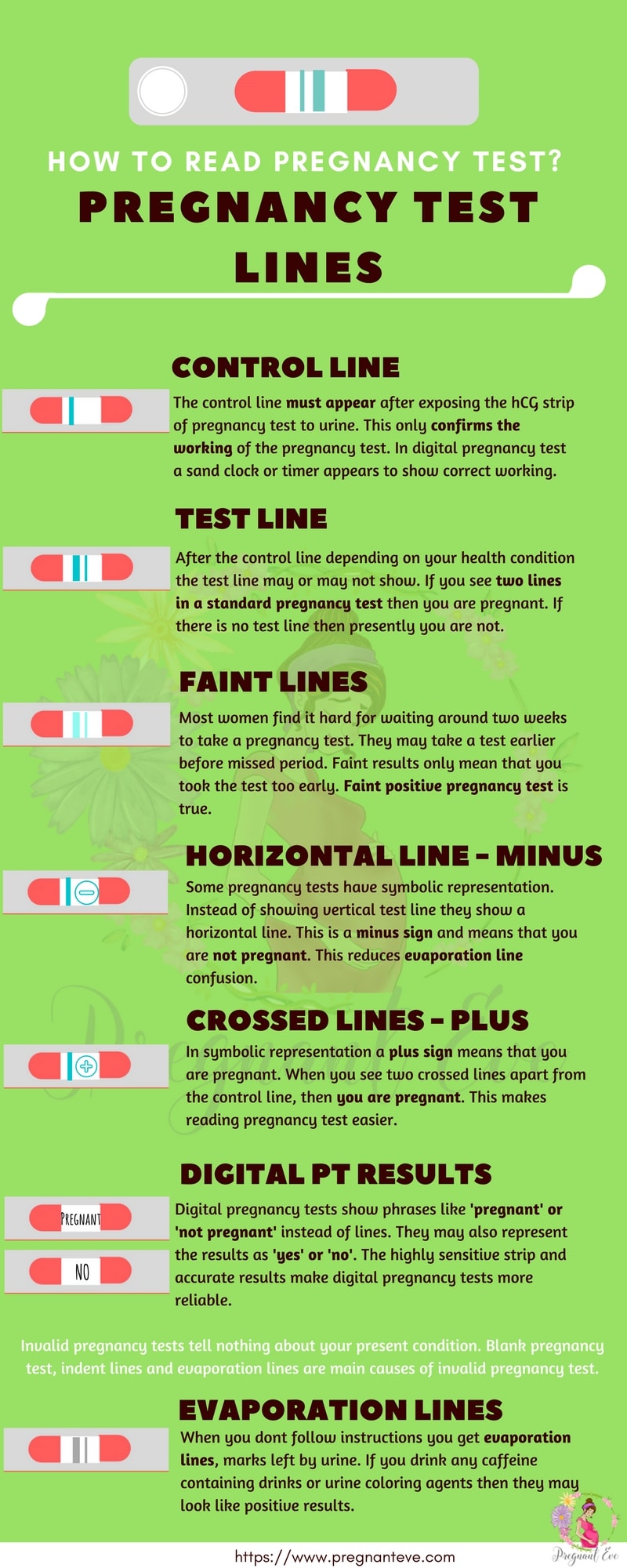 Pregnancy Test Lines