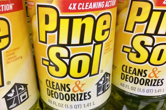 Pine Sol pregnancy test