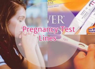 Pregnancy Test Lines