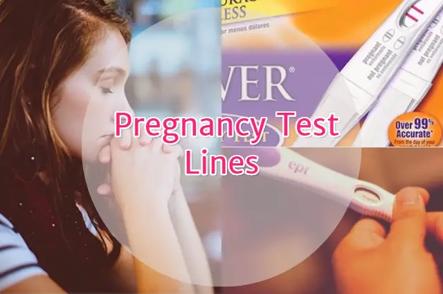 Pregnancy Test Lines