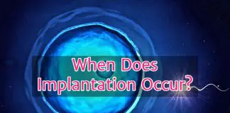 When does implantation occur?
