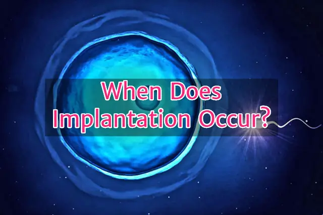 When does implantation occur?