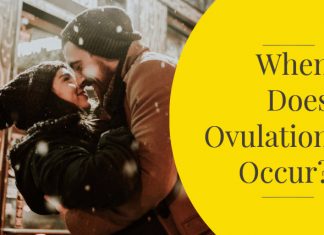 When does ovulation occur?