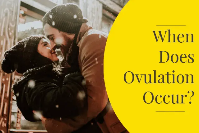 When does ovulation occur?