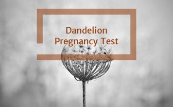 Dandelion Pregnancy Test