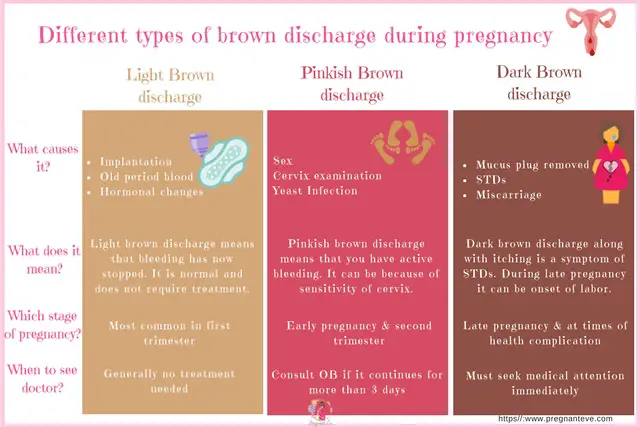 Brown Discharge During Pregnancy Reasons Types