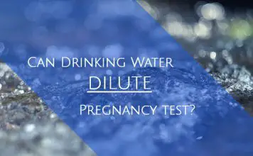 Can drinking water dilute pregnancy test?