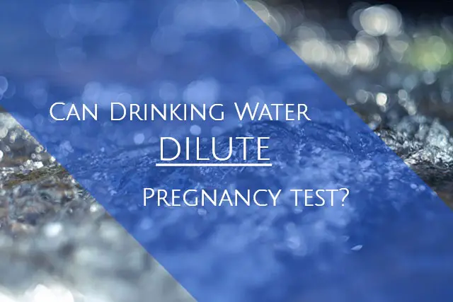 Can Drinking Water Dilute A Pregnancy Test?