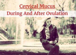 Cervical Mucus During And After Ovulation