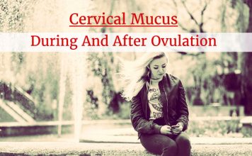 Cervical Mucus During And After Ovulation