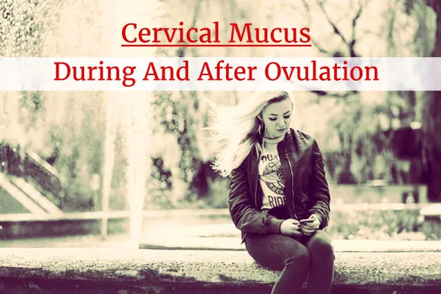 Cervical Mucus During And After Ovulation