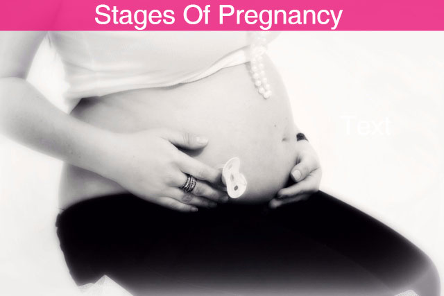 Early stages of pregnancy
