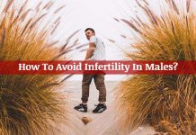 How to avoid infertility in males