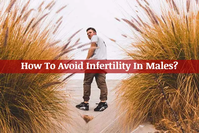How to avoid infertility in males