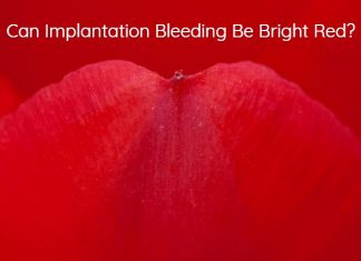 Can Implantation Bleeding Be Bright Red