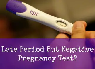 Late Period But Negative Pregnancy Test
