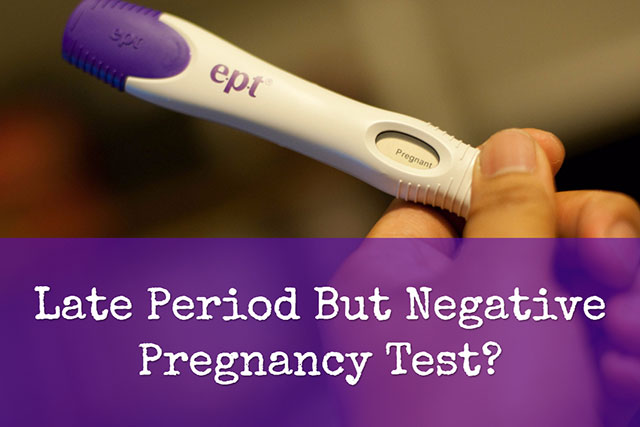 Late Period But Negative Pregnancy Test