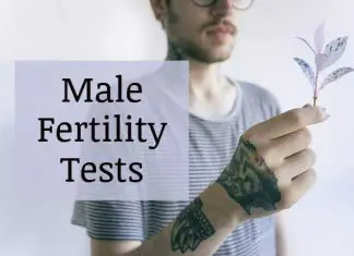Male fertility test