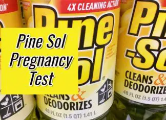 Pine Sol Pregnancy Test