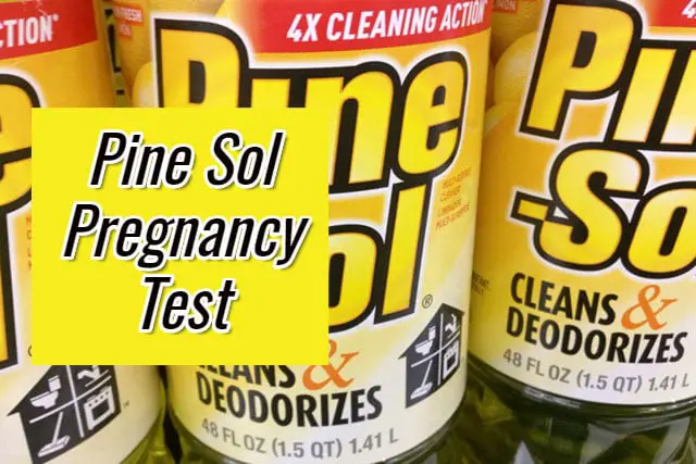 Pine Sol Pregnancy Test