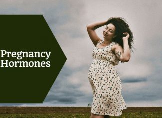 Pregnancy Hormones