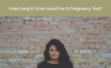How Long Is Urine Good For A Pregnancy Test?