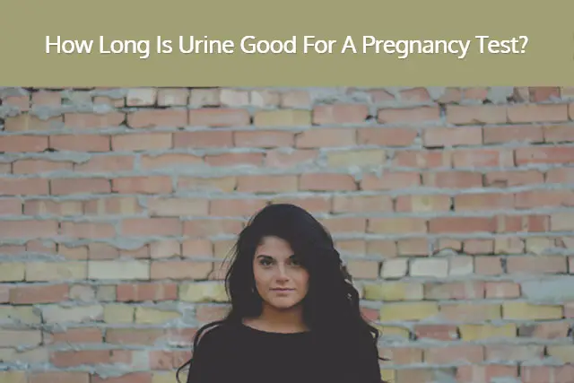 How Long Is Urine Good For A Pregnancy Test?