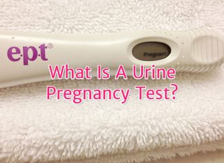 Urine Pregnancy Test