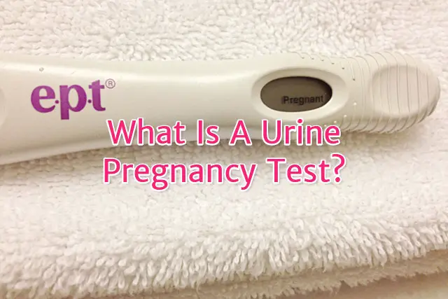 Urine Pregnancy Test