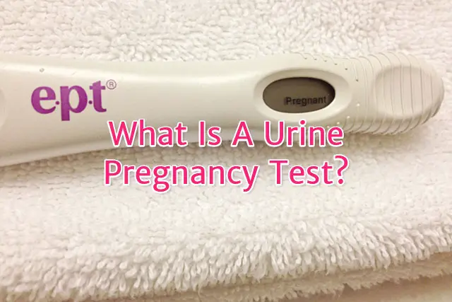 first prenatal visit urine tests