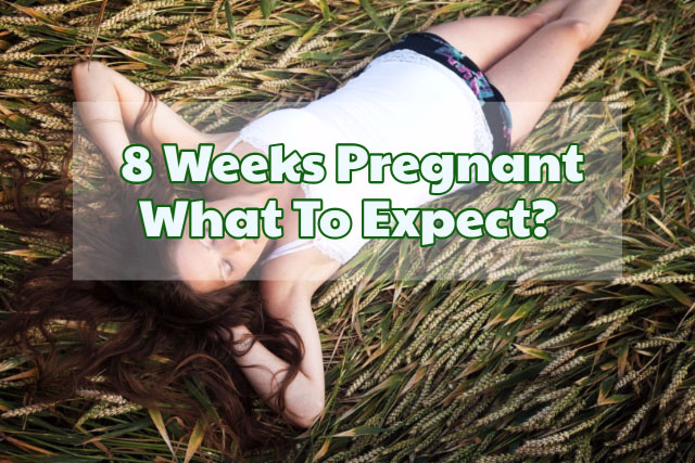 8 Weeks Pregnant