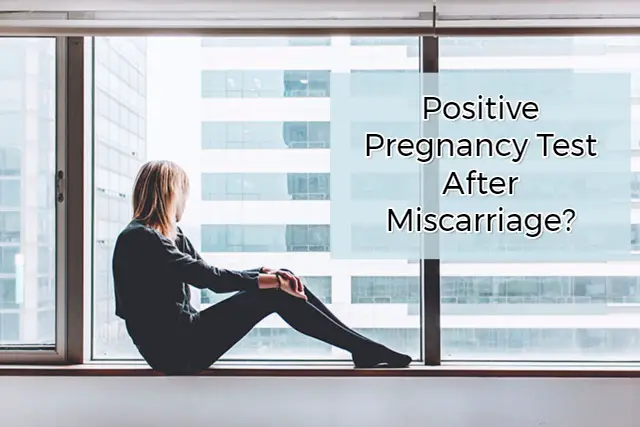 Positive Pregnancy Test After Miscarriage? PregnantEve.com