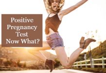 Positive Pregnancy Test : Now What?