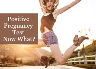 Positive Pregnancy Test : Now What?