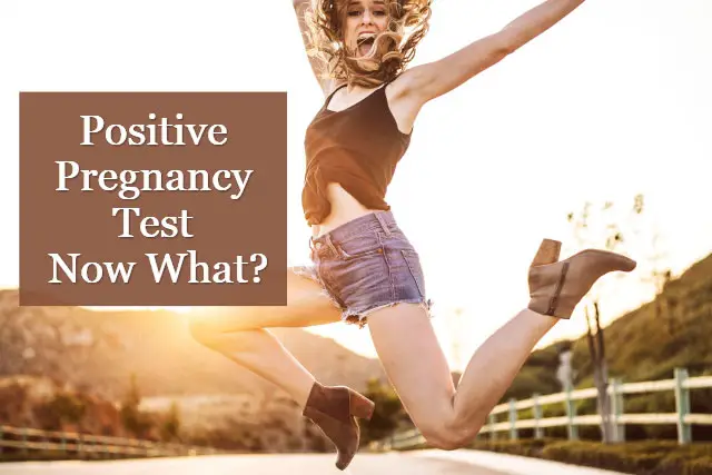 Positive Pregnancy Test : Now What?