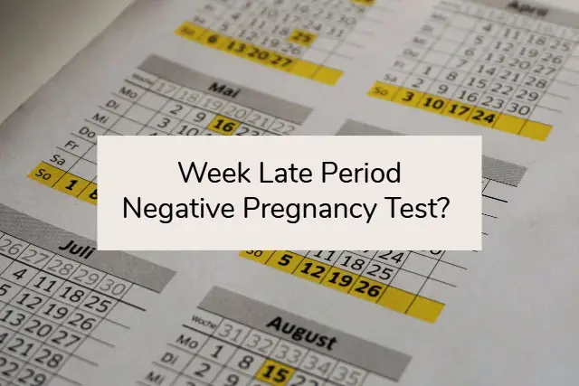 Week Late Period Negative Pregnancy Test?