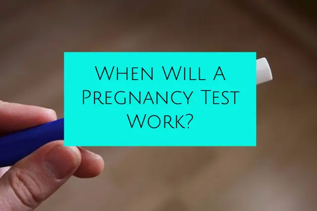 When Will A Pregnancy Test Work?