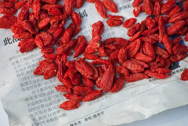 Goji Berry For Abortion