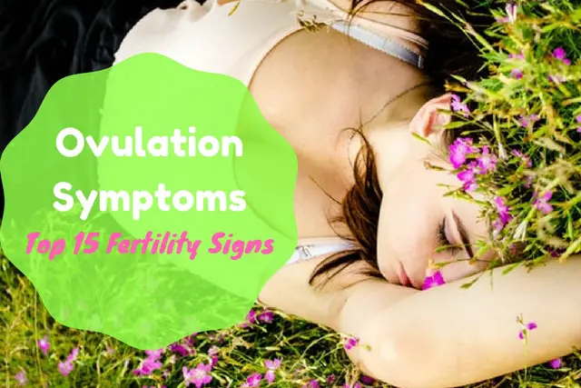 Ovulation Symptoms: Top 15 Fertility Signs