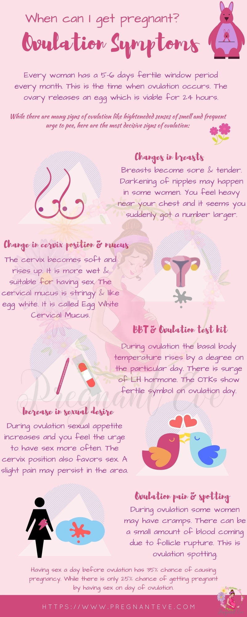 Top Ovulation Symptoms