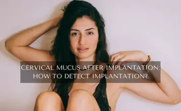 Cervical Mucus After Implantation: How To Detect Implantation?